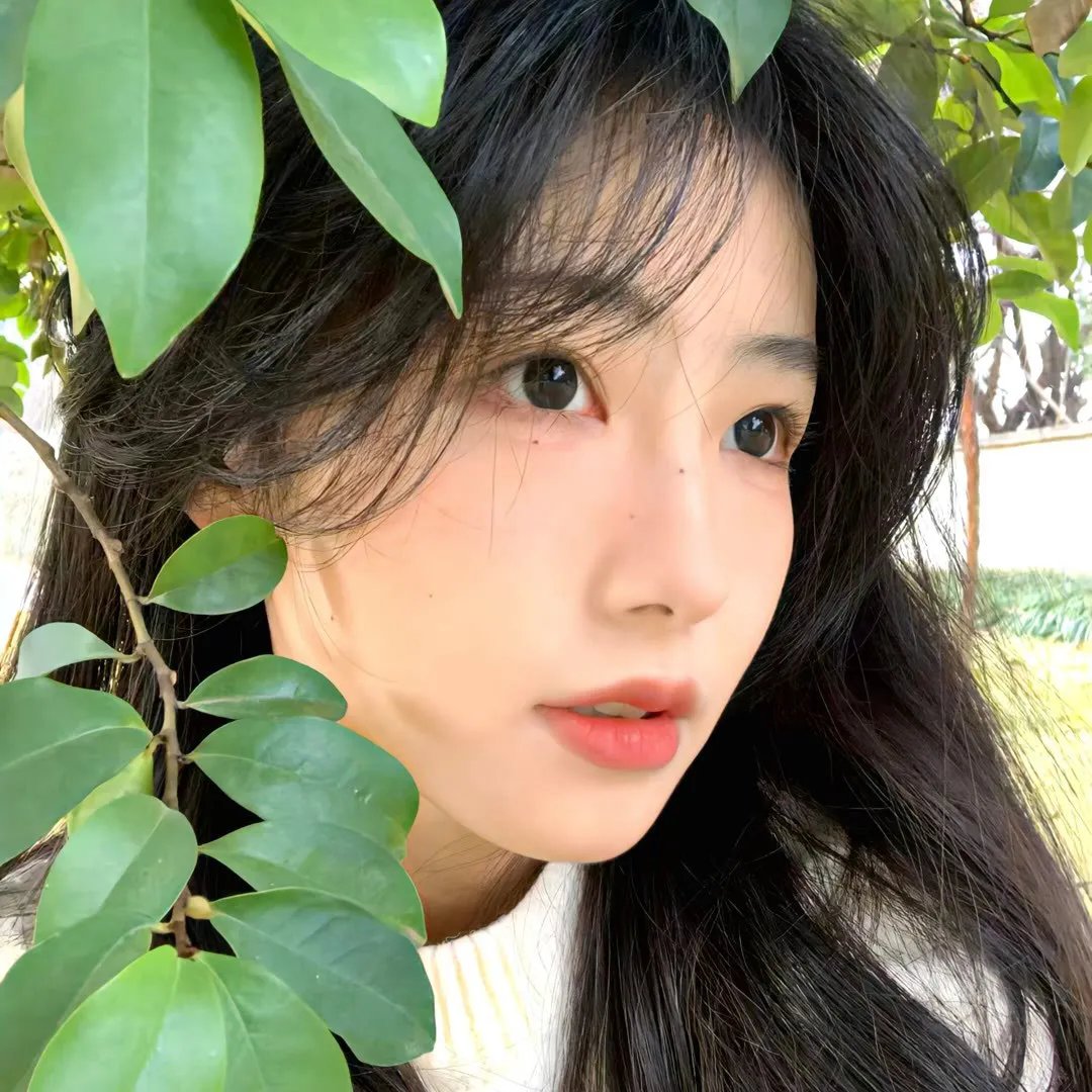 荷拉的故事